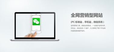 網(wǎng)絡(luò)營(yíng)銷外包與個(gè)人互聯(lián)網(wǎng)服務(wù) 企業(yè)增長(zhǎng)的數(shù)字化雙翼